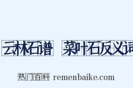 云林石谱·菜叶石反义词是什么意思的图片